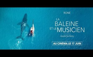 Lire la suite à propos de l’article La Baleine et le musicien : le docu qui fait dialoguer Rone et l&rsquo;océan