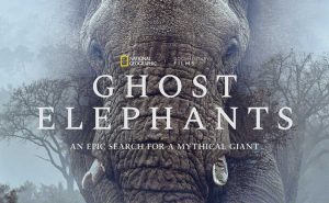 Lire la suite à propos de l’article Ghost Elephants d&rsquo;Herzog : faut-il vraiment trouver son obsession ?